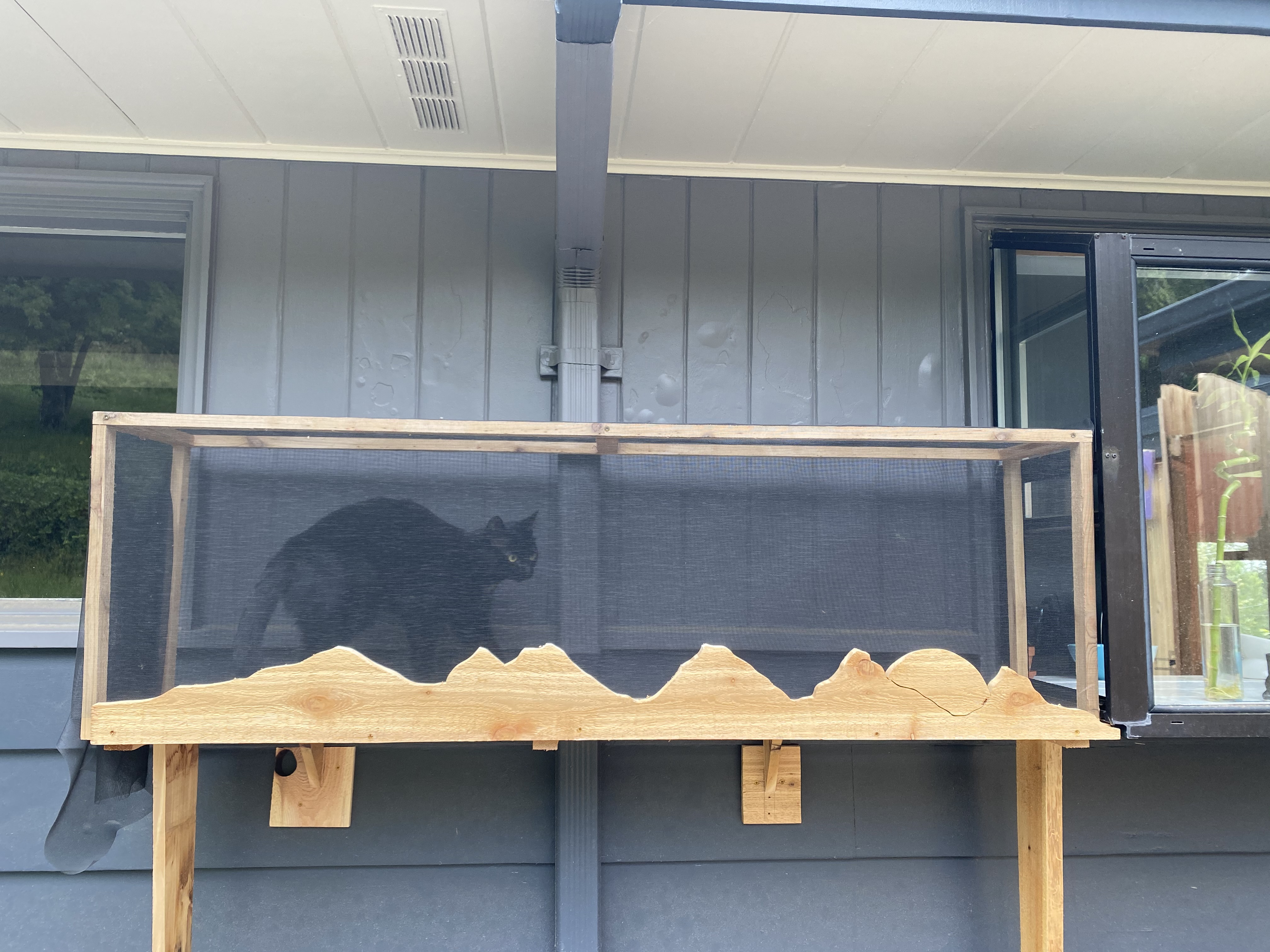 Custom-built outdoor catio enclosure