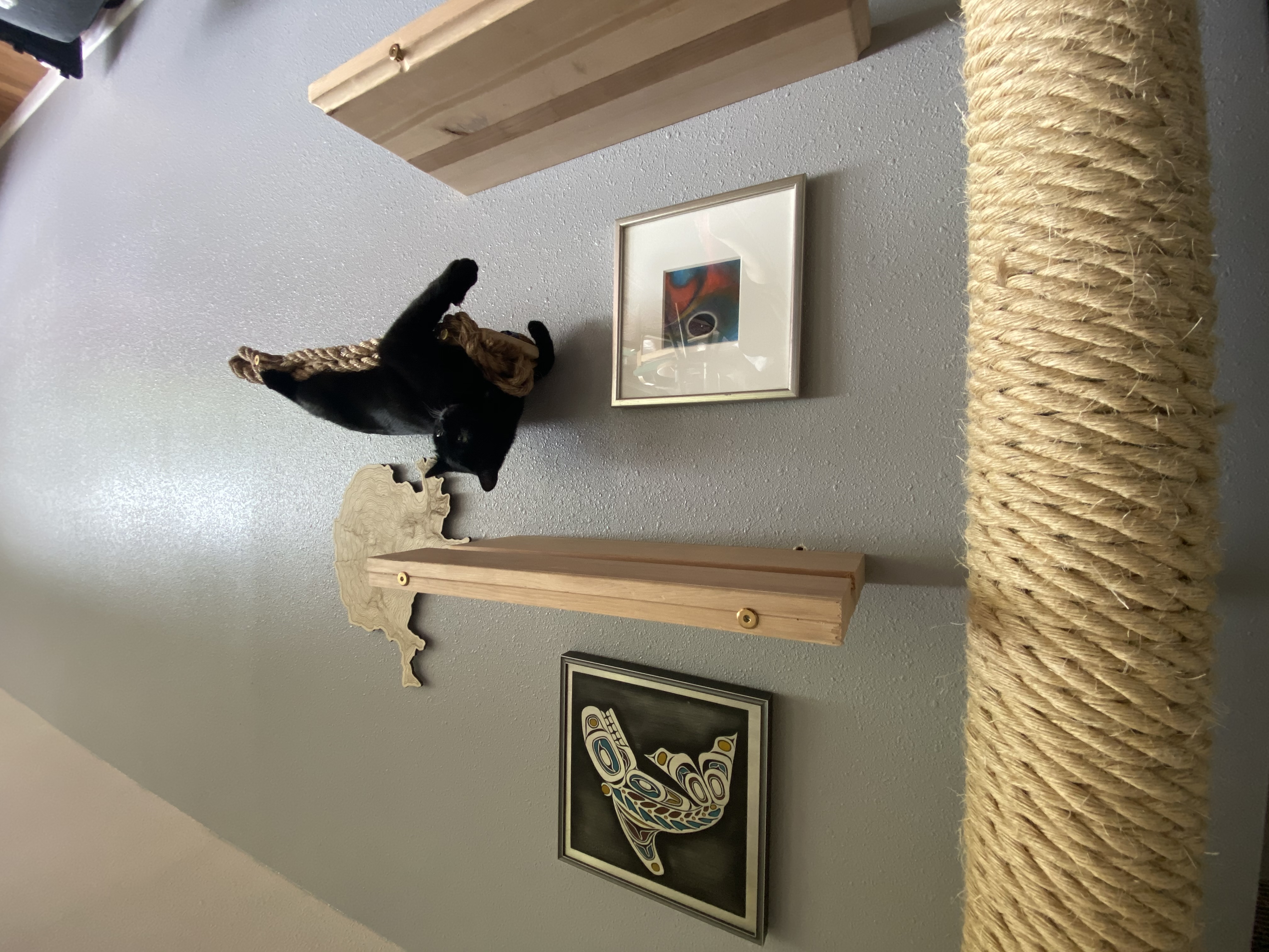 Custom wall-mounted cat shelving and scratching post