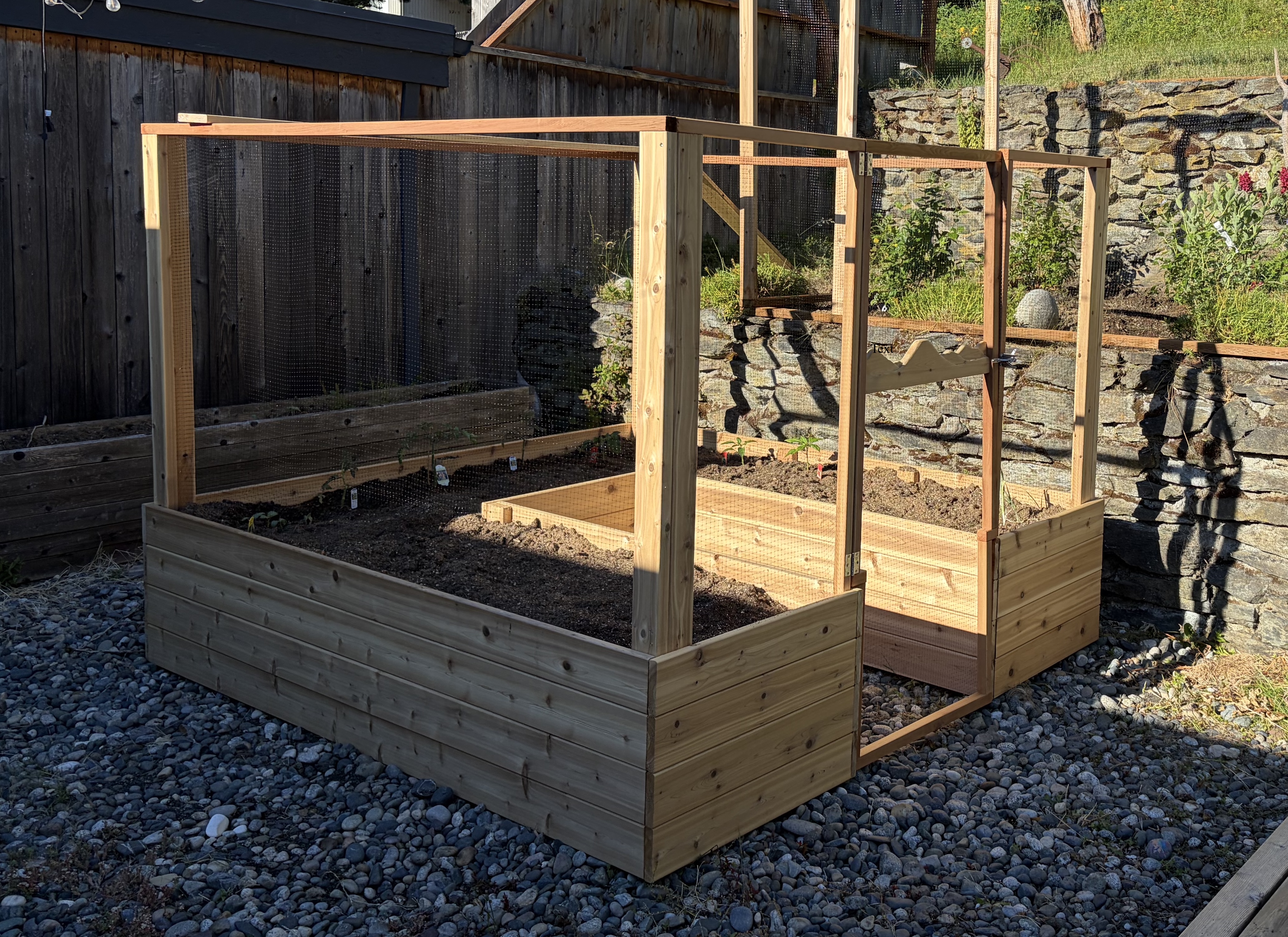 Raised cedar garden beds with protective trellis